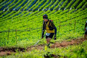 BIB: 1026
                            <button type="button" onclick="openModal(19161752)" class="btn btn-primary btn-sm float-right btn-popup" data-toggle="modal" data-target=".modal-high-quality">
                        <i class="fas fa-shopping-cart"></i> Add to Cart
                    </button>
                                            <button type="button" onclick="isThisMe(19161752, true)" class="btn btn-success btn-sm float-right btn-popup btn-isme hidden" data-toggle="tooltip" data-placement="bottom" title="นี่คือรูปของคุณใช่ไหม คลิกที่นี่เพื่อเอาเข้าอัลบั้ม">
                        <i class="fas fa-plus"></i> Add to album
                    </button>
                    <button type="button" onclick="isThisMe(19161752, false)" class="btn btn-warning btn-sm float-right btn-popup btn-isnotme hidden">
                        <i class="fas fa-ban"></i> Remove from album
                    </button>